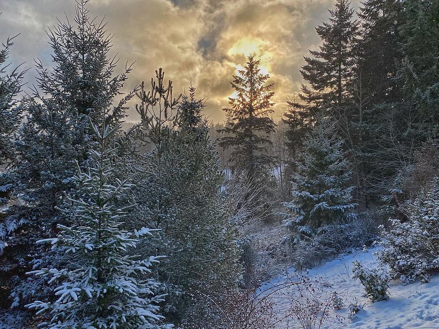 Winter Sunrise Photograph by Jerry Abbott