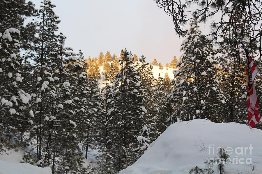 Winter Sunrise Photograph