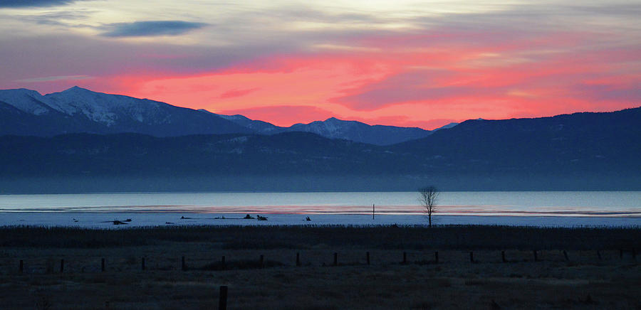 Winter Sunrise on Flathead Lake Photograph by Whispering Peaks Photography