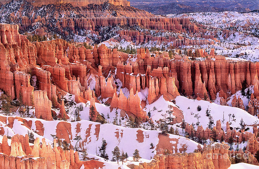 Winter Sunrise Queens Garden Bryce Canyon National Par Photograph by Dave Welling