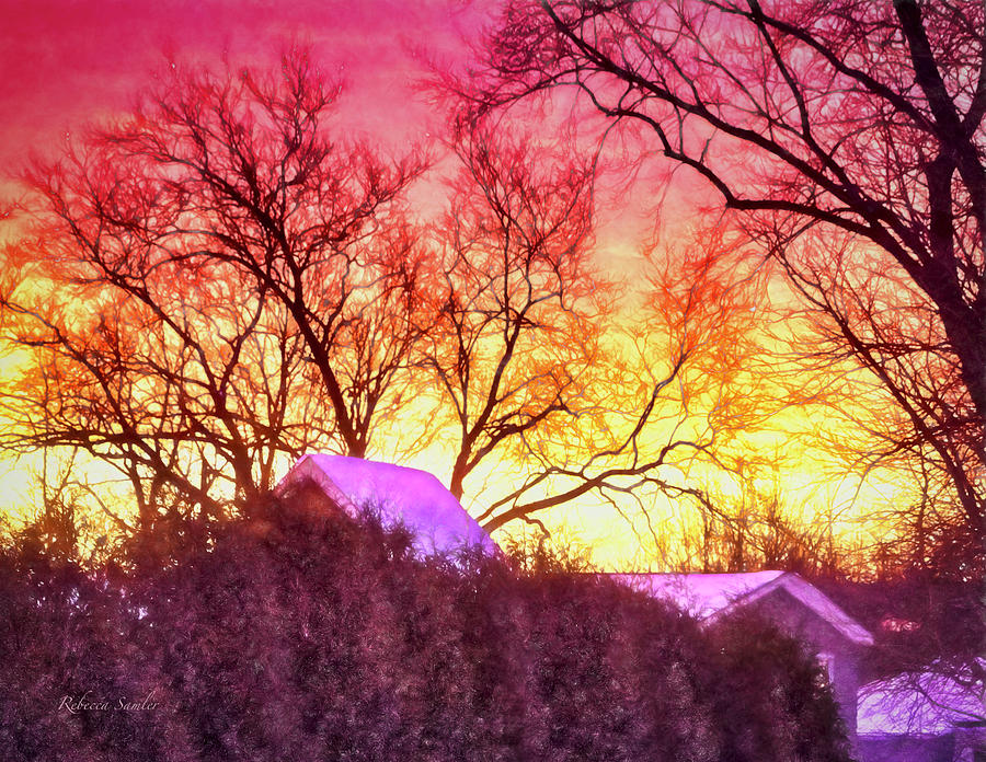 Winter Sunrise Photograph by Rebecca Samler