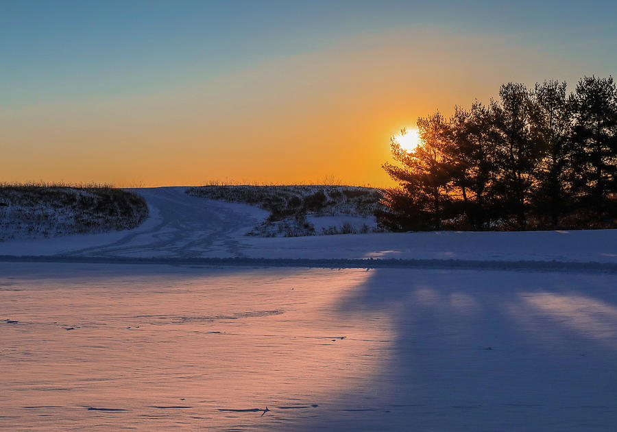 Winter Sunrise Silhouettes Photograph by Dan Sproul