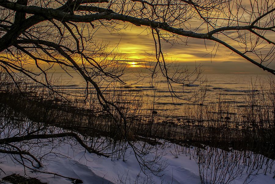 Winter Sunrise Through the Branches Photograph by Deb Beausoleil