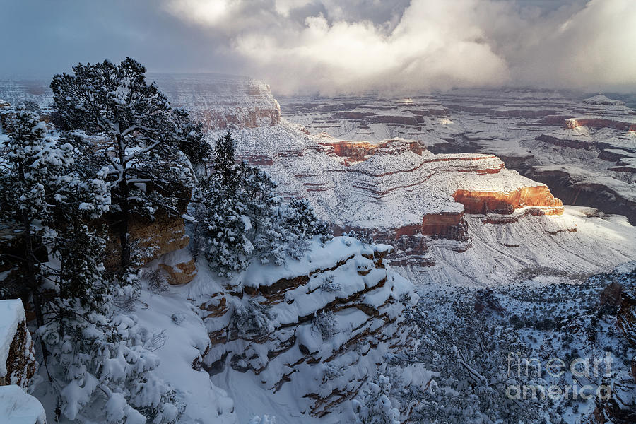 Winter Sunrise with Snow at Grand Canyon National Park Photograph by Tom Schwabel