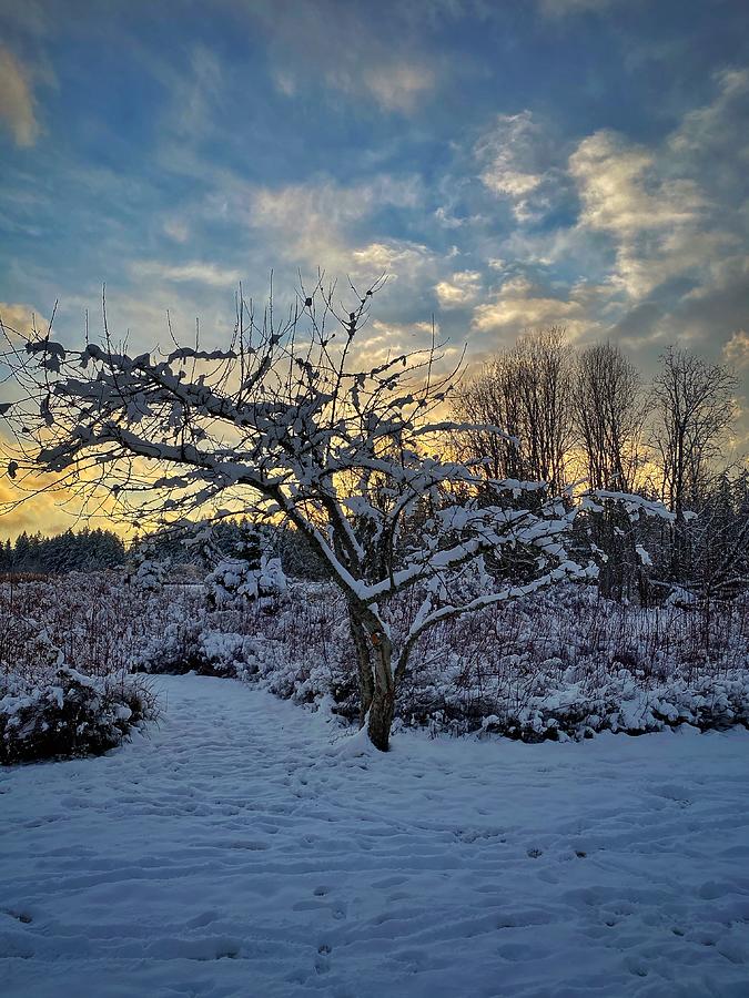 Winter Sunset 2 Photograph by Jerry Abbott