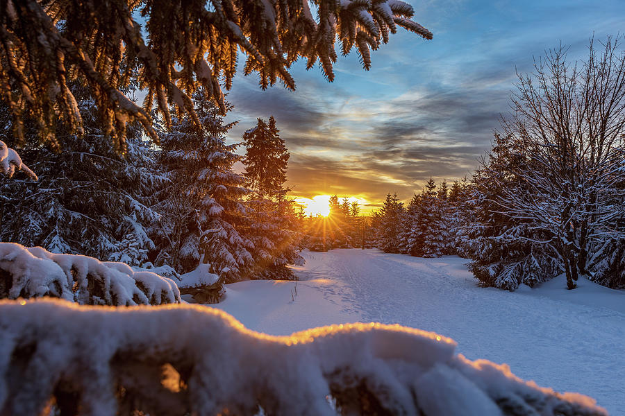 Winter sunset Photograph by Andreas Levi