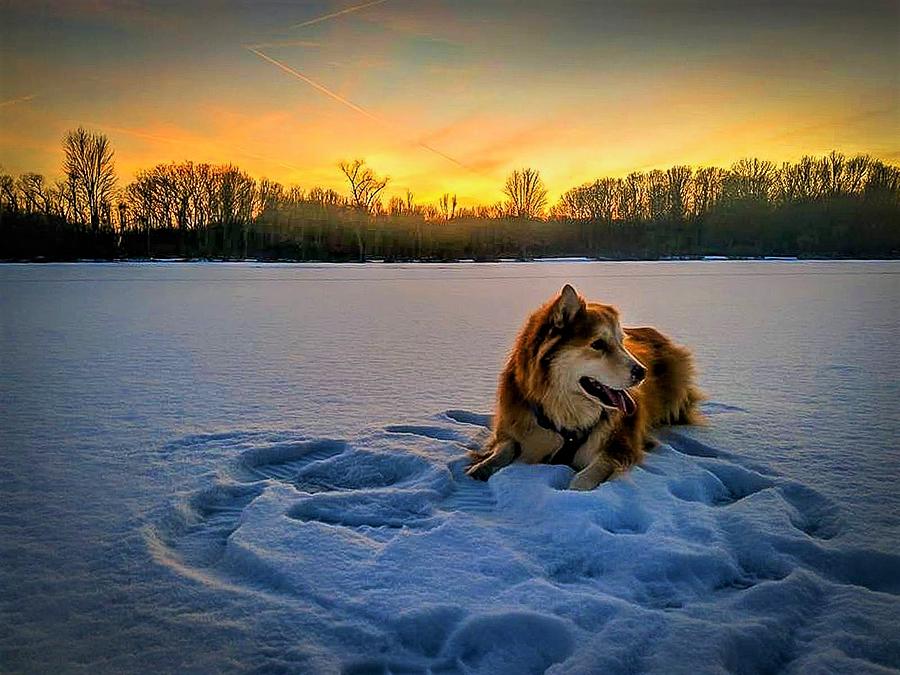 Winter Sunset Photograph by Brad Nellis