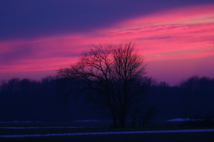 Winter Sunset Photograph by Brook Burling