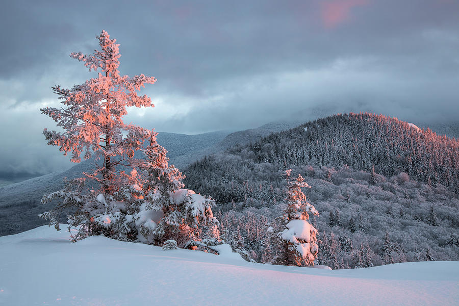 Winter Sunset Confections Photograph by White Mountain Images