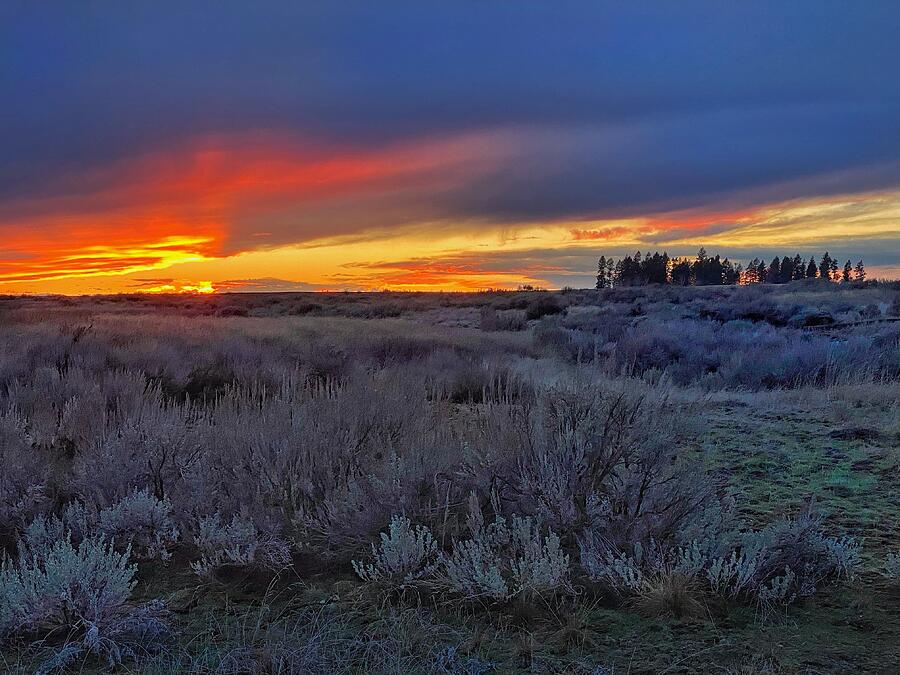 Winter Sunset - Eastern Washington  Photograph by Jerry Abbott