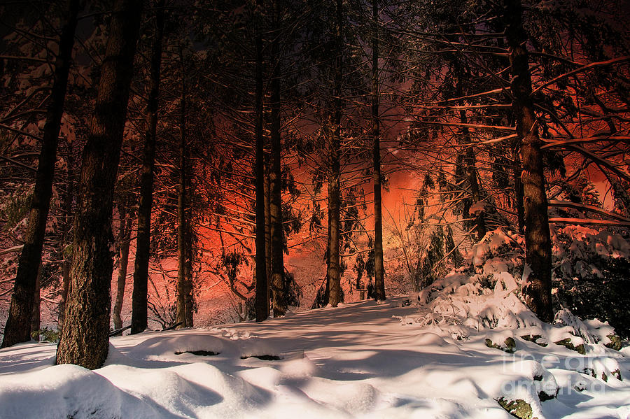 Winter Fiery  Sunset Photograph by Elaine Manley