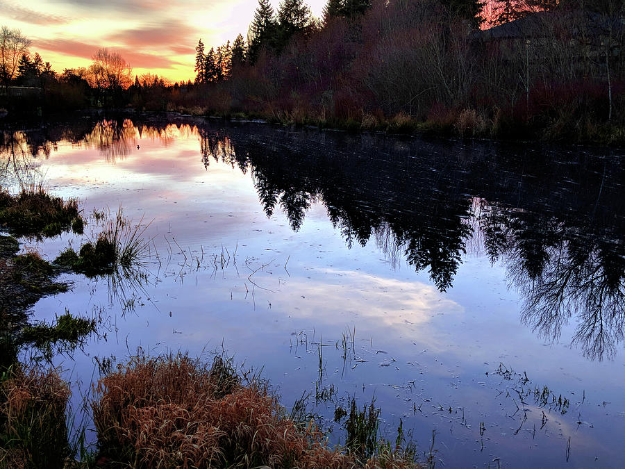 Winter Sunset In Oregon Photograph