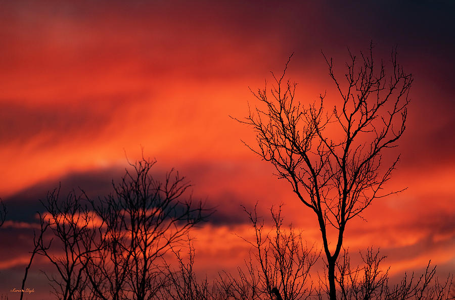 Winter Sunset in Texas Photograph by Karen Slagle