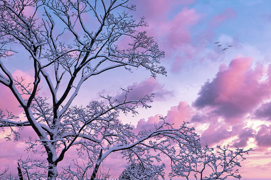 Winter Sunset Photograph