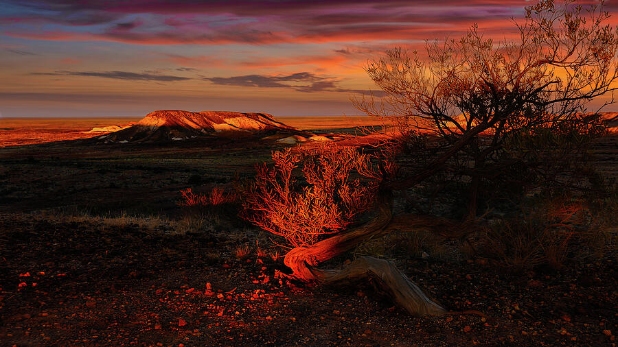 Winter Sunset - Kanku -The Breakaways Photograph by Lexa Harpell