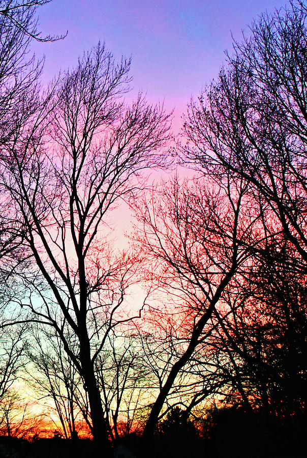 Winter Sunset Photograph by Kristin Elmquist