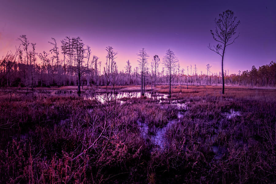 Sunset Photograph - Winter Sunset Marsh Glow by Norma Brandsberg