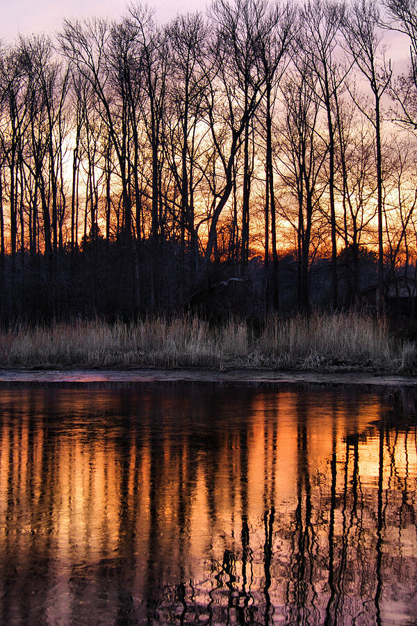 Winter Sunset, Marshy Point Photograph by Steve Ember