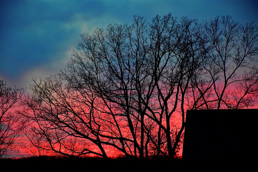 Winter Sunset Photograph by Monika Salvan