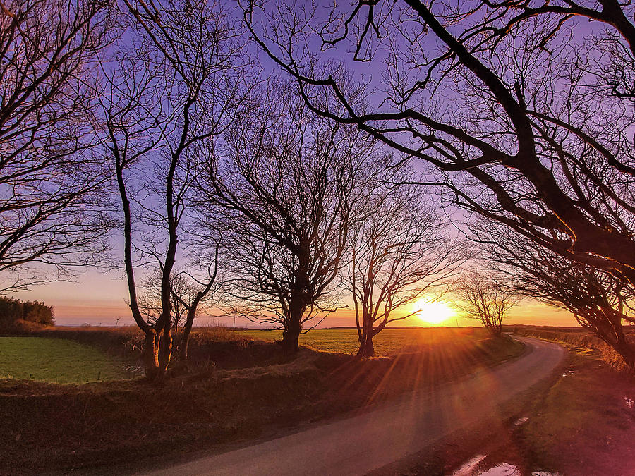 Winter Sunset Over Devon Lane Photograph