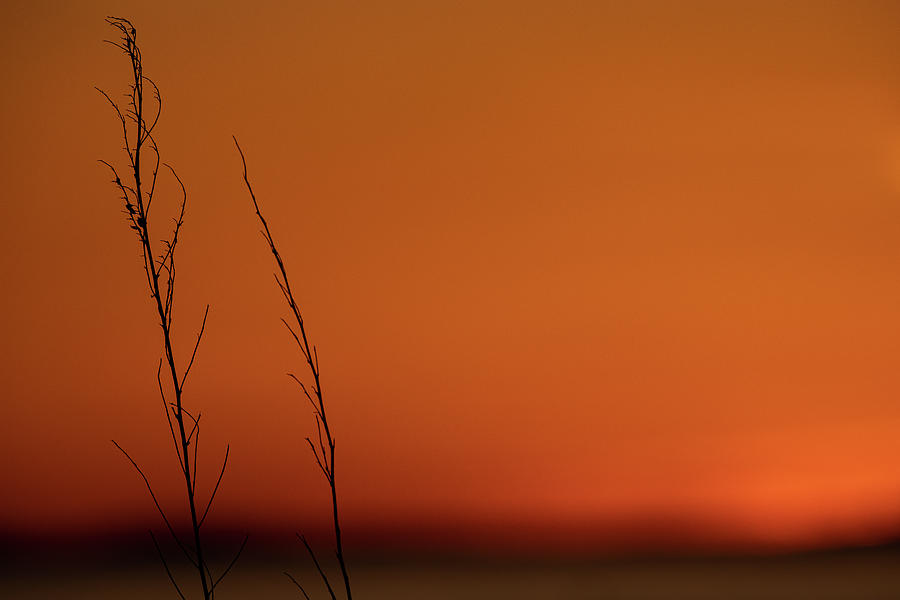 Winter Sunset over the Ocean Photograph by Denise Kopko
