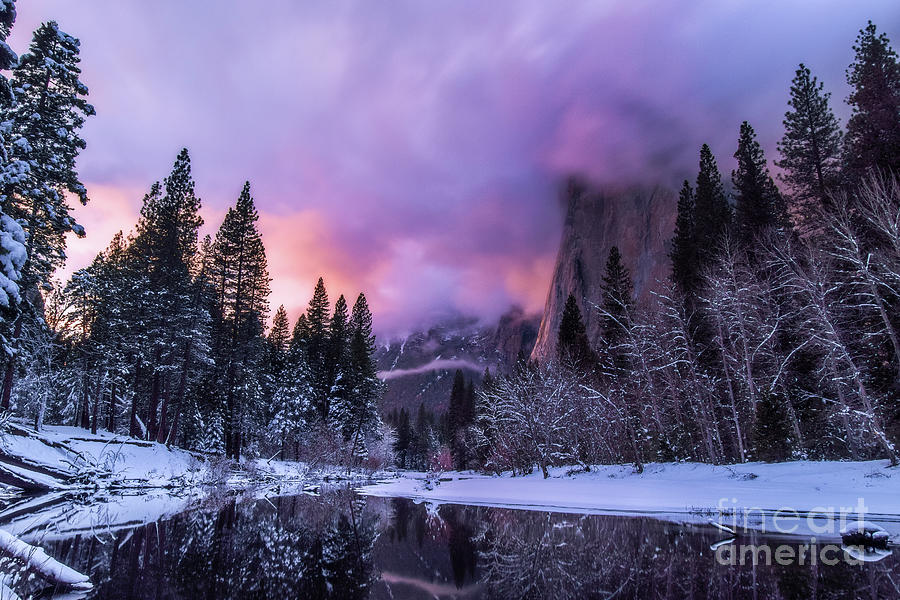 Winter Sunset Photograph by Vincent Bonafede