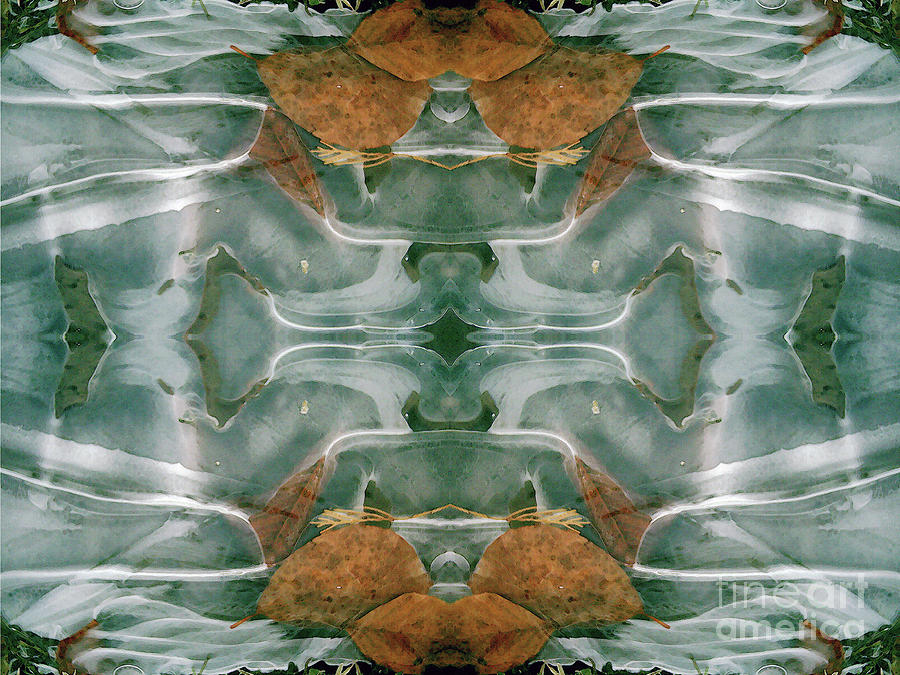 Winter Symmetry 1 Digital Art by David Hargreaves