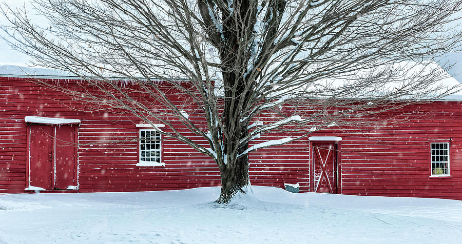 Winter Symmetry - A Connecticut Scenic Photograph by Photos by Thom
