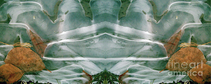 Winter Symmetry - Cycle 2 Digital Art by David Hargreaves
