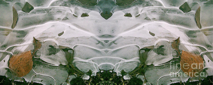 Winter Symmetry - Cycle 3 Digital Art by David Hargreaves