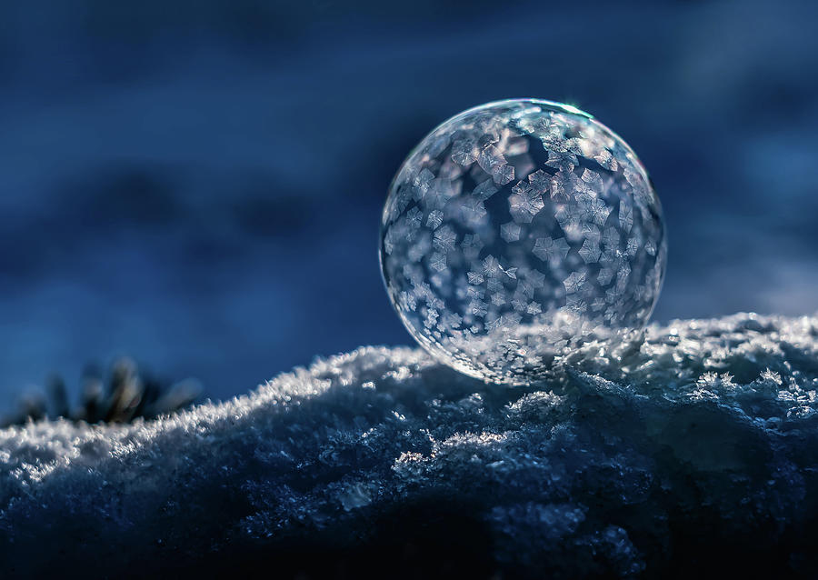 Winter Tales II Photograph by Jaroslaw Blaminsky