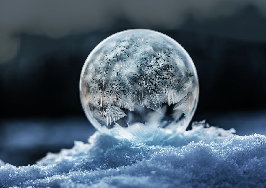 Winter Tales IV Photograph by Jaroslaw Blaminsky