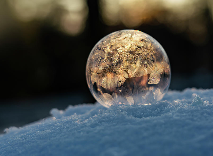 Winter Tales VII Photograph by Jaroslaw Blaminsky