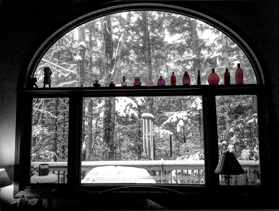 Winter Through a Window Photograph by Wayne King