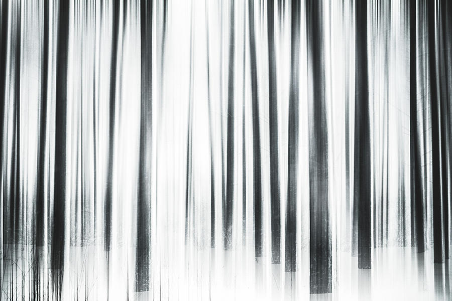 Winter Time by Anne Leven Winter Time by Anne Leven