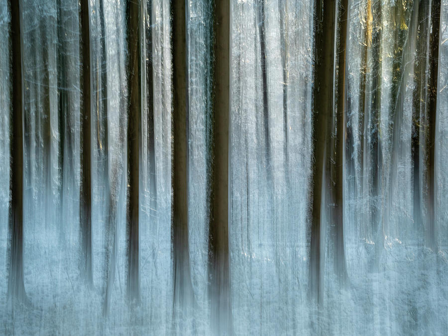 Winter time Photograph by Silke Gerlach - Fine Art America