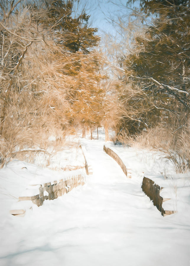 Winter Trail and Bridge Photograph by Allin Sorenson