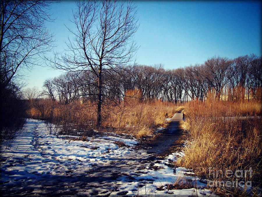 Sunset Photograph - Winter Trail Golden Hour by Frank J Casella