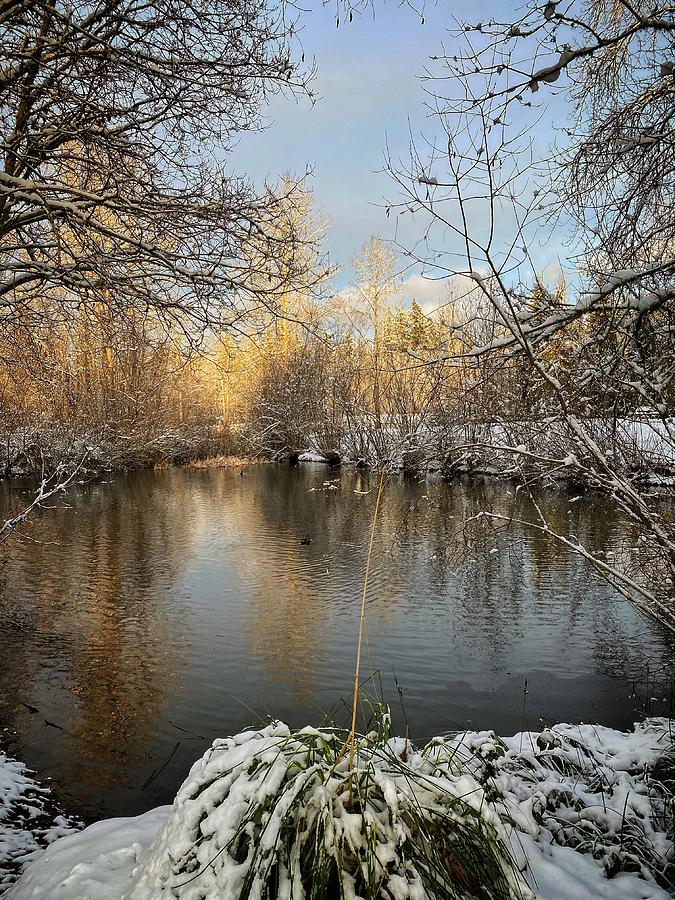 Winter Tranquility  Photograph by Jerry Abbott