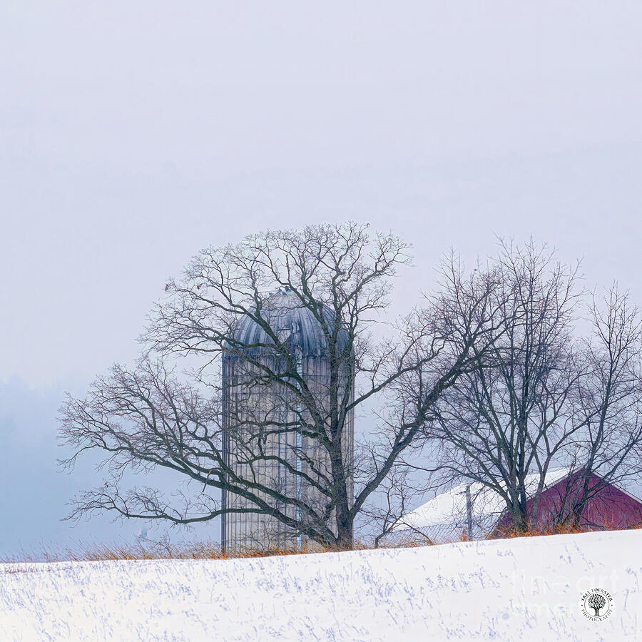 Winter Photograph - Winter Tree and Silo by Trey Foerster