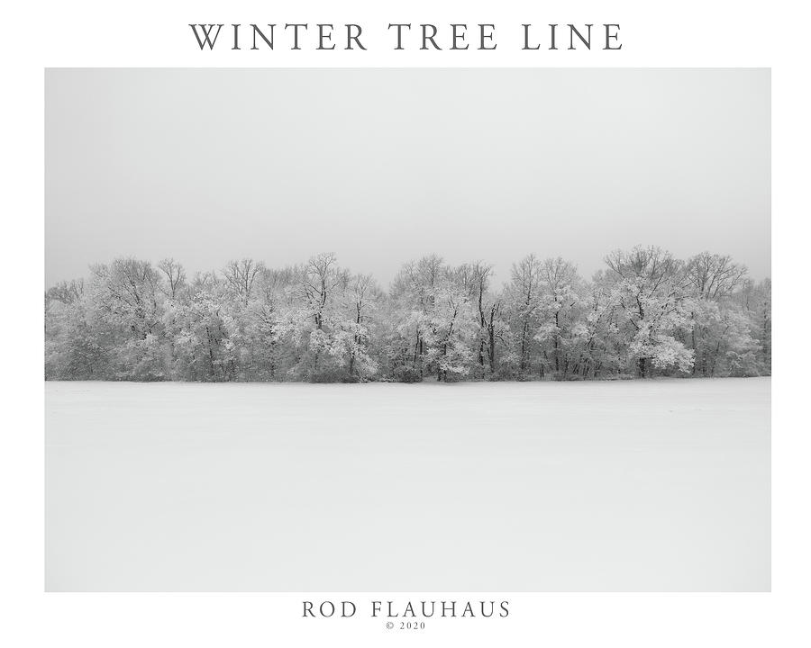 Winter Tree Line Photograph By Rod Flauhaus - Fine Art America