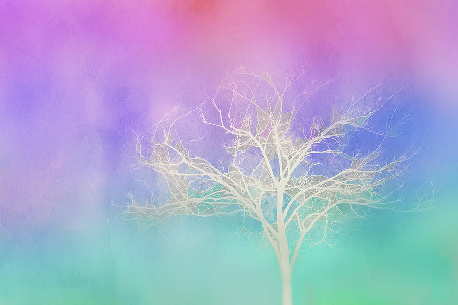 Winter Tree on Colors Digital Art by Terry Davis