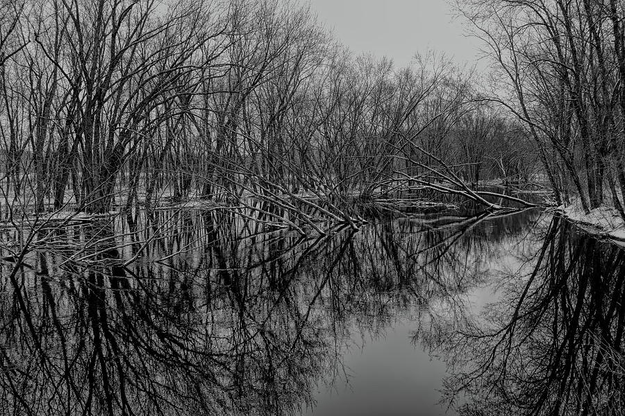 Winter Tree Reflection Abstract BW Photograph by Dale Kauzlaric