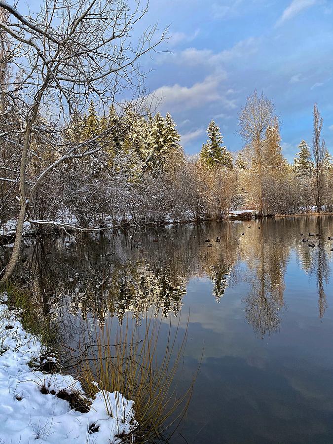 Winter Tree Reflection Photograph by Jerry Abbott