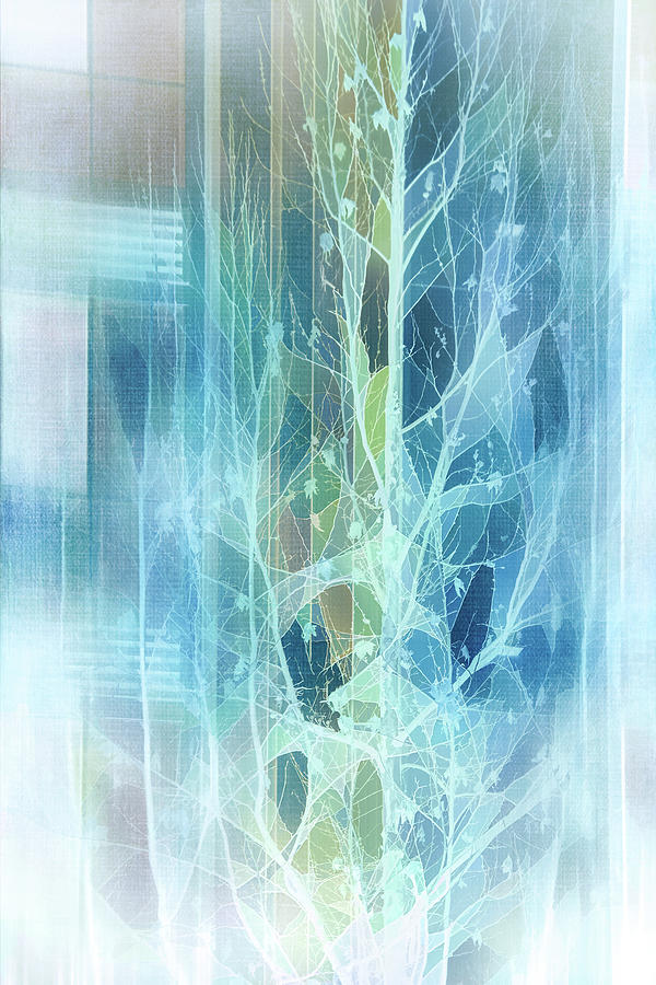 Winter Tree Reflection Digital Art by Terry Davis