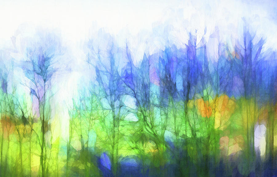 Winter Tree Row Digital Art by Terry Davis