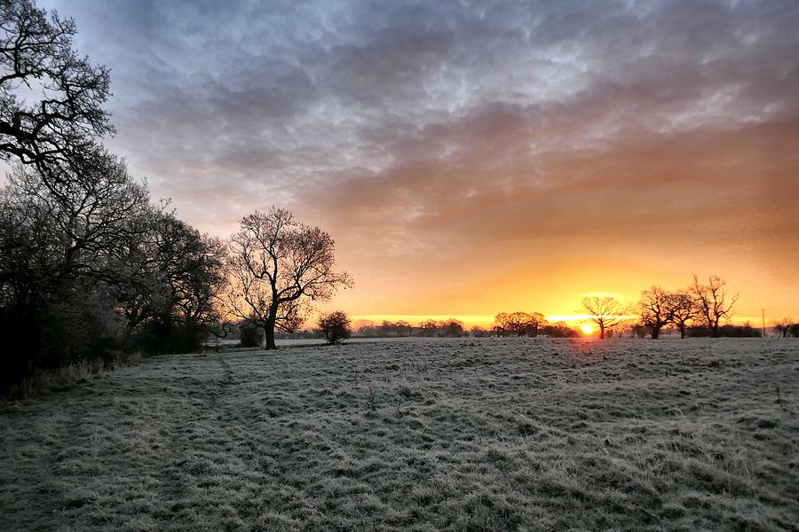 Winter Trees and Field in England Photograph by Ian Hutson