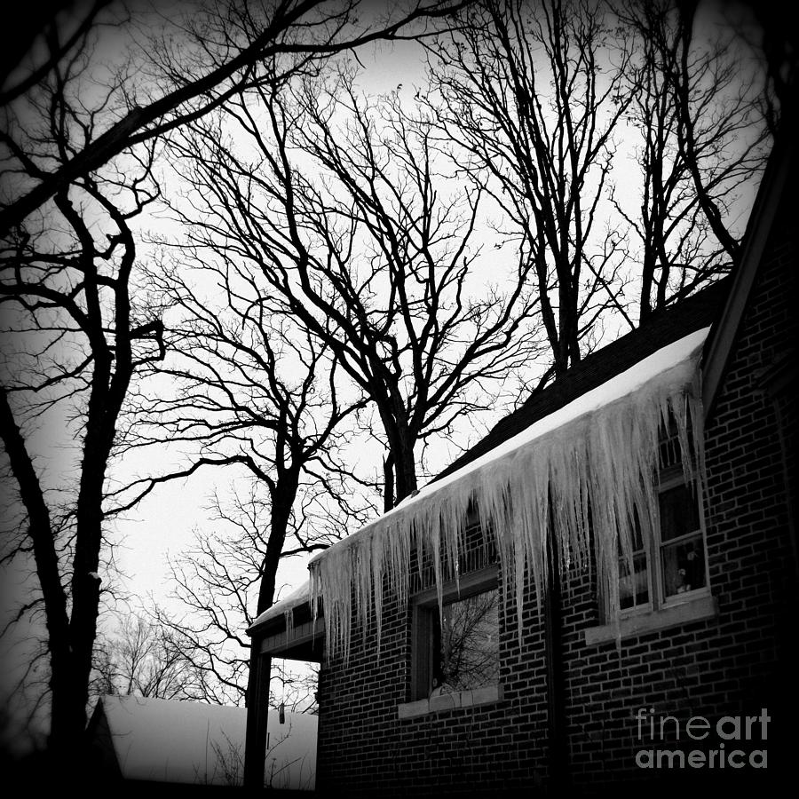 Winter Trees and Icicles - Square - Frank J Casella Photograph by Frank J Casella