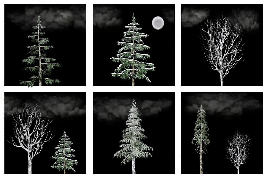 Winter Trees Hexaptych Clouds with Moon Digital Art by David Dehner