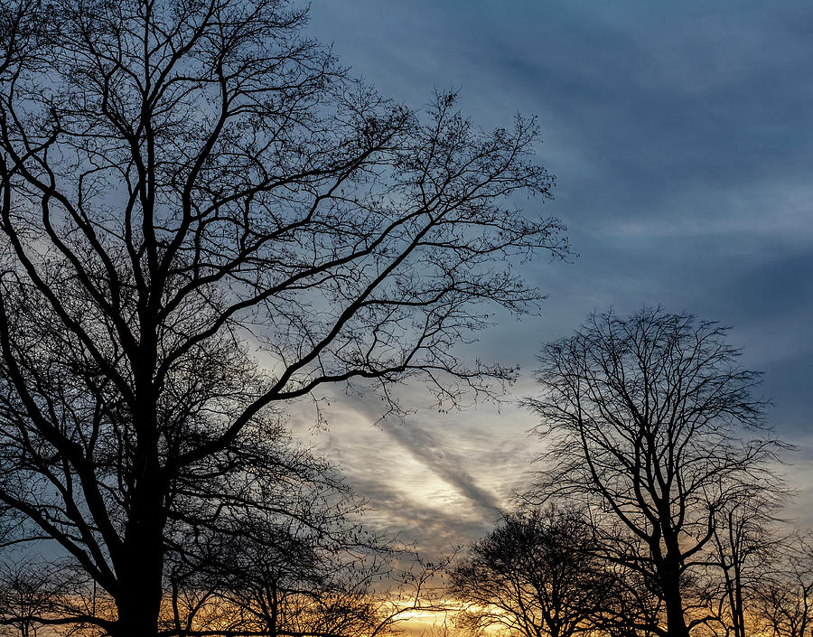 Winter Trees Sky and Clouds at Sunset Photograph by Robert Ullmann